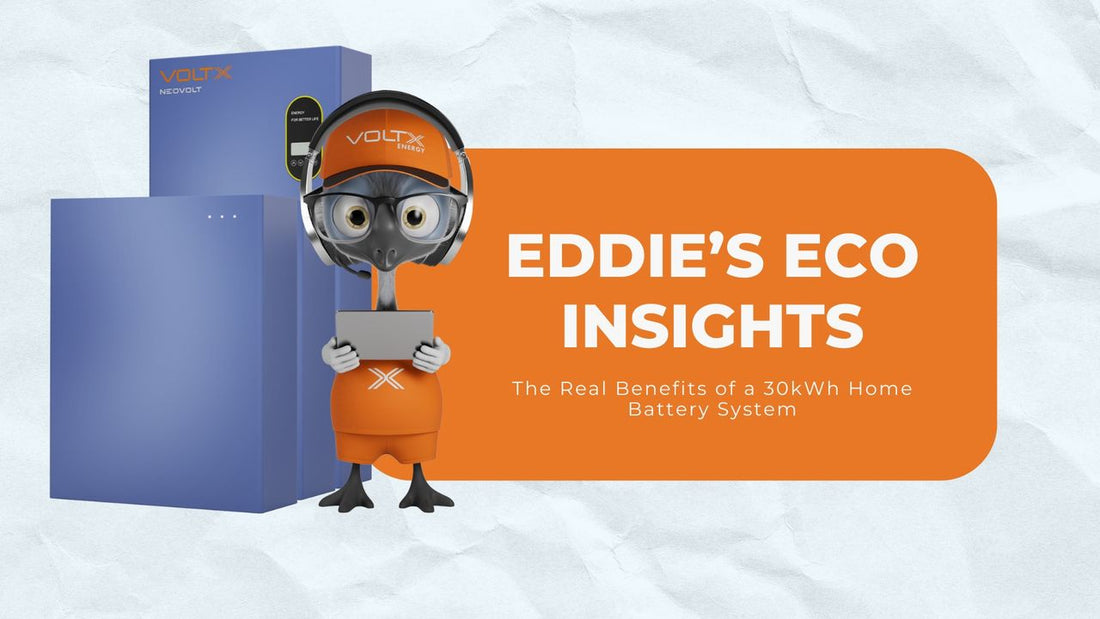 Eddie Eco Insights: The Real Benefits of a 30 kWh Home Battery System