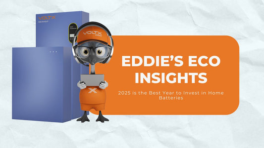 Eddie’s Eco Insights: 2025 is the Best Year to Invest in Home Batteries