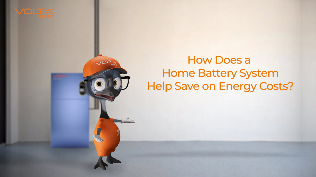 How Does a Home Battery System Helps You Save On Energy Costs