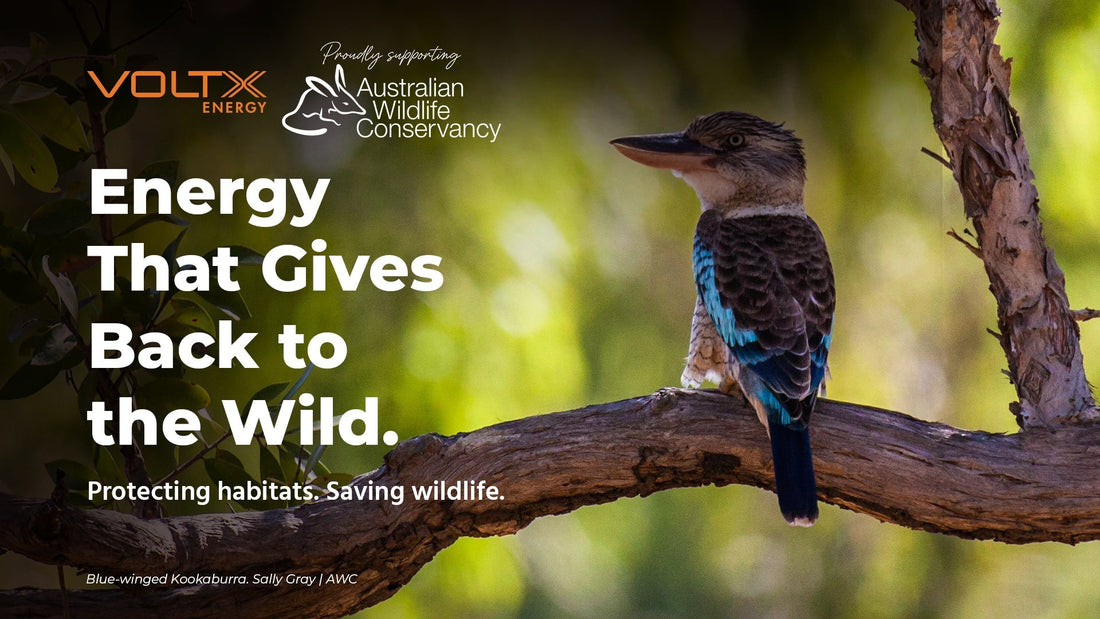 VoltX Energy Sponsors the Australian Wildlife Conservancy