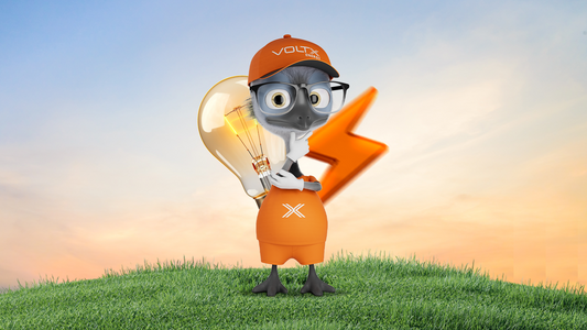 Eddie the Emu Has Landed - And He’s Here to Power Your Future with VoltX Energy