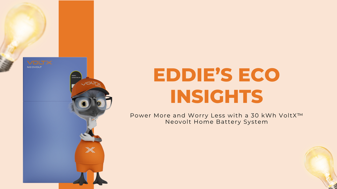 Eddie Insights: Power More and Worry Less with a 30 kWh VoltX™ Neovolt Home Battery System